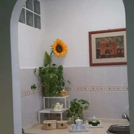 住宿加早餐酒店 特莱索莱尔加尔巴特拉住宿加早餐旅馆 罗马
